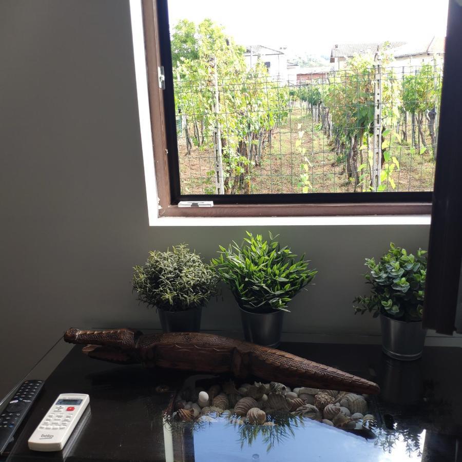 B&B La Casetta Gattinara エクステリア 写真